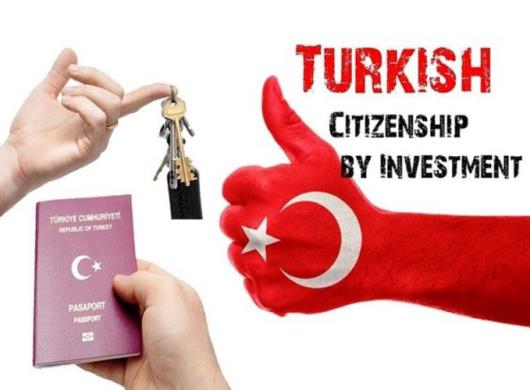 سرمایه گذاری و شروع زندگی در ترکیه