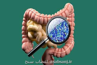 میكروب های روده بر شدت سكته مغزی تاثیر دارد