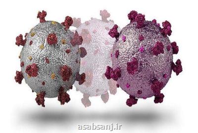ویروس ایدز عامل پیدایش سویه اومیکرون