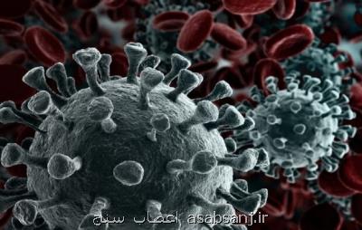 مبتلایان به کرونا ایمنی طولانی مدتی در مقابل سویه های جدید دارند