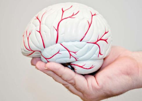 از دست دادن حافظه بعد از سکته مغزی در بعضی بیماران برطرف می شود