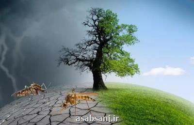 تاثیر منفی تغییرات آب و هوایی بر بیماریهای انسانی