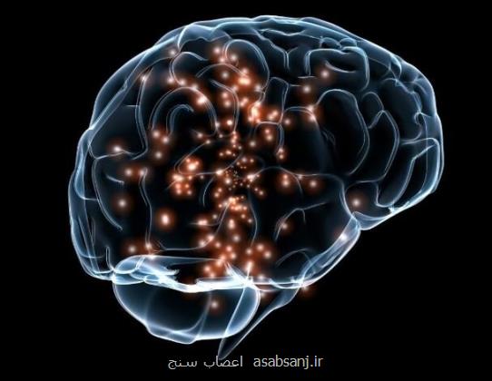 اوتیسم سبب تغییرات اساسی در مغز می شود