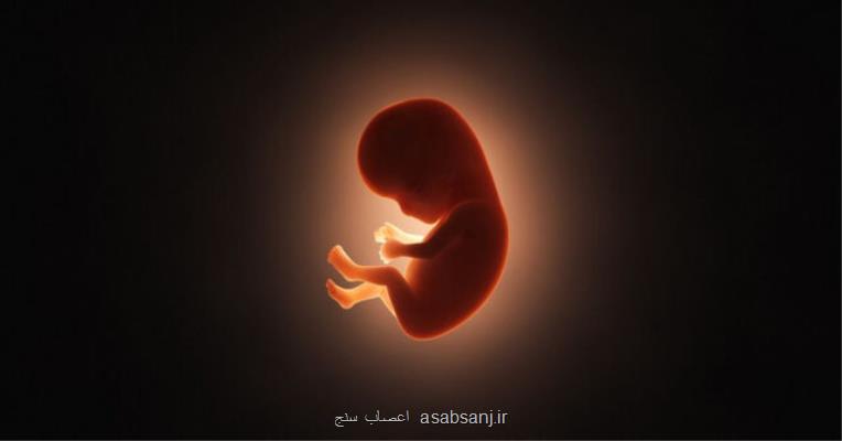 پیگیری طراحی سامانه در رابطه با اهداکنندگان اسپرم و تخمک توسط وزارت بهداشت
