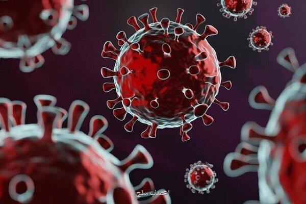 شیوع بیماری ویروسی جدید در شاهرود