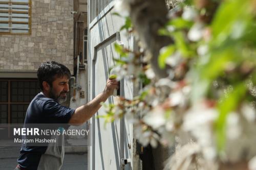کمردرد شایع ترین عارضه خانه تکانی ایرانیها