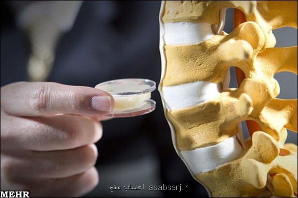 برگزاری سمینار بین المللی فیزیوتراپی
