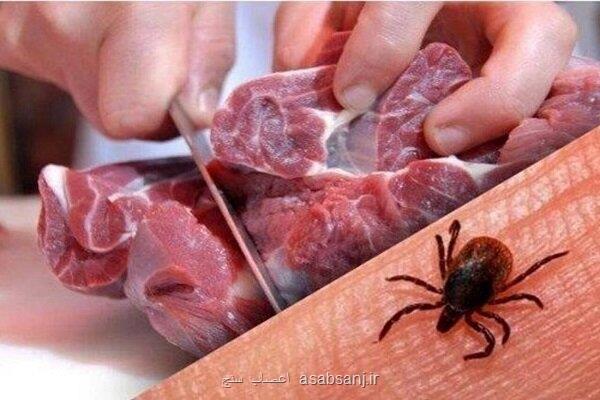 تعداد فوت شدگان تب خونریزی دهنده کریمه کنگو در عراق به 30 نفر رسید