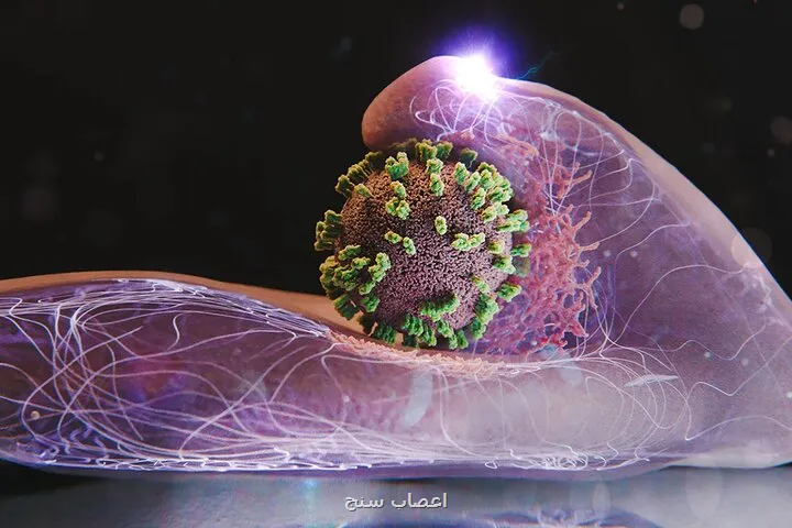 آنفلوانزا در ۲ شهر بیشتر از سطح هشدار