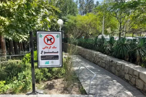 ممنوعیت سگ گردانی در بوستان ها و فضاهای سبز در این شهر مذهبی