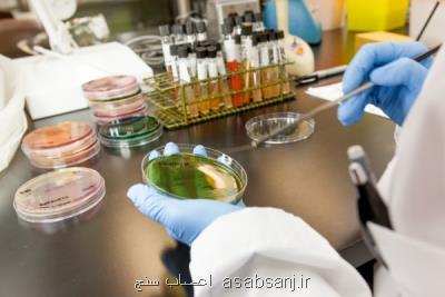 راه های شناخت و درمان ویروس HPV، بهترین روش پیشگیری