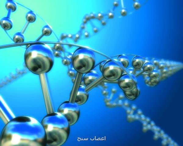 ساخت نانولوله هایی برای درمان هدفمند سرطان