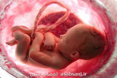 عفونت ویروسی مادر به سلول های مغز نوزاد لطمه می رساند
