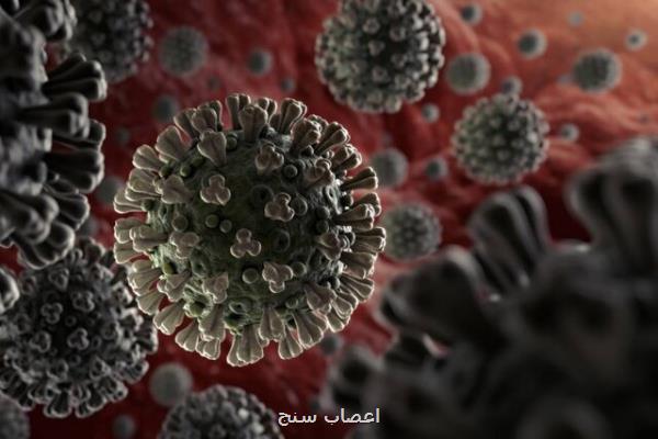 آنچه دانشمندان در مورد كروناویروس جدید شایع در انگلیس می دانند